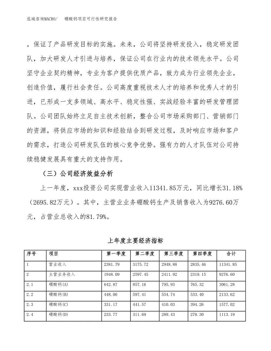 硼酸钙项目可行性研究报告模板及范文.docx_第5页