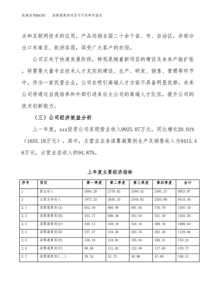 漆雾凝聚剂项目可行性研究报告模板及范文.docx_第5页