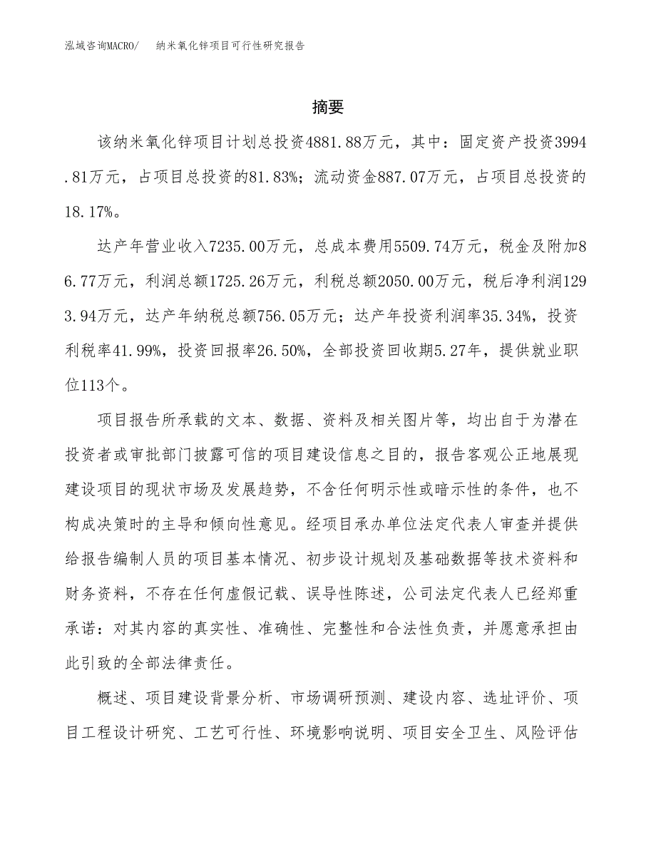 纳米氧化锌项目可行性研究报告模板及范文.docx_第2页