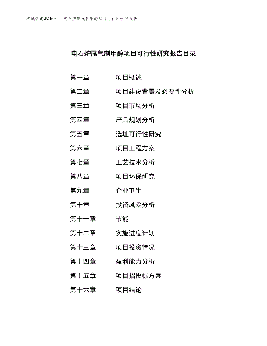 电石炉尾气制甲醇项目可行性研究报告模板及范文.docx_第3页