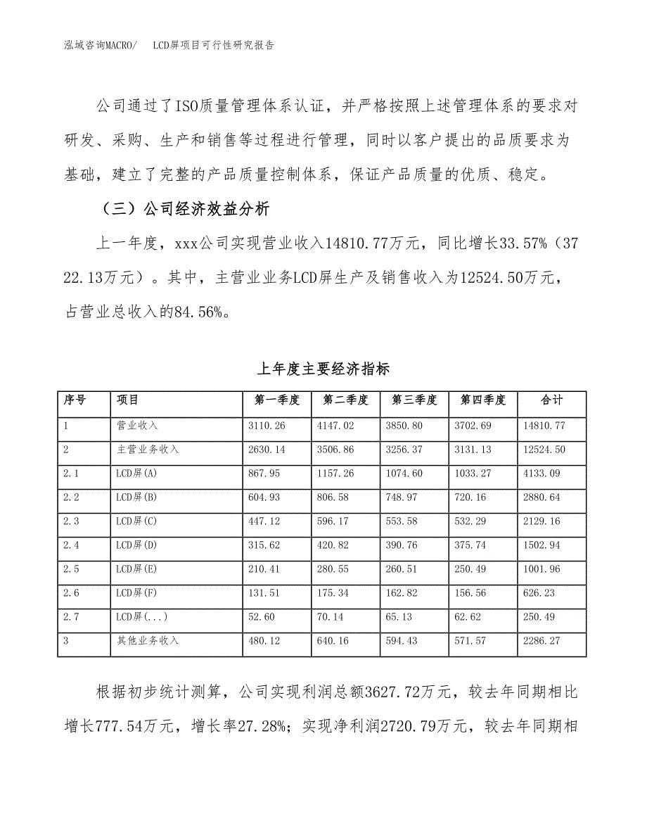 LCD屏项目可行性研究报告模板及范文.docx_第5页