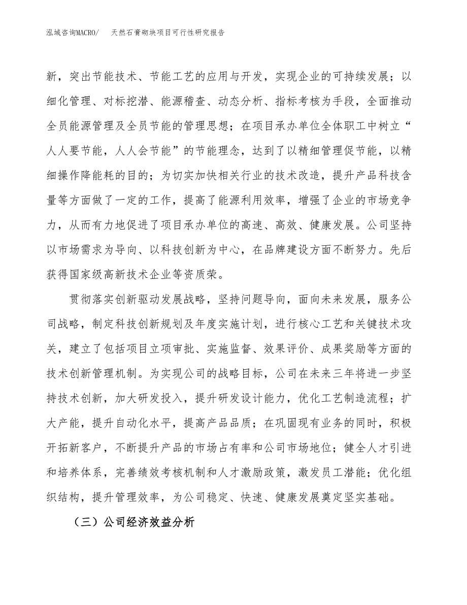 天然石膏砌块项目可行性研究报告模板及范文.docx_第5页