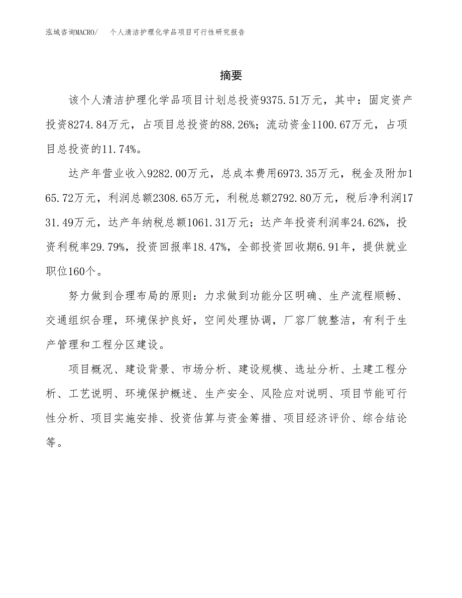 个人清洁护理化学品项目可行性研究报告模板及范文.docx_第2页