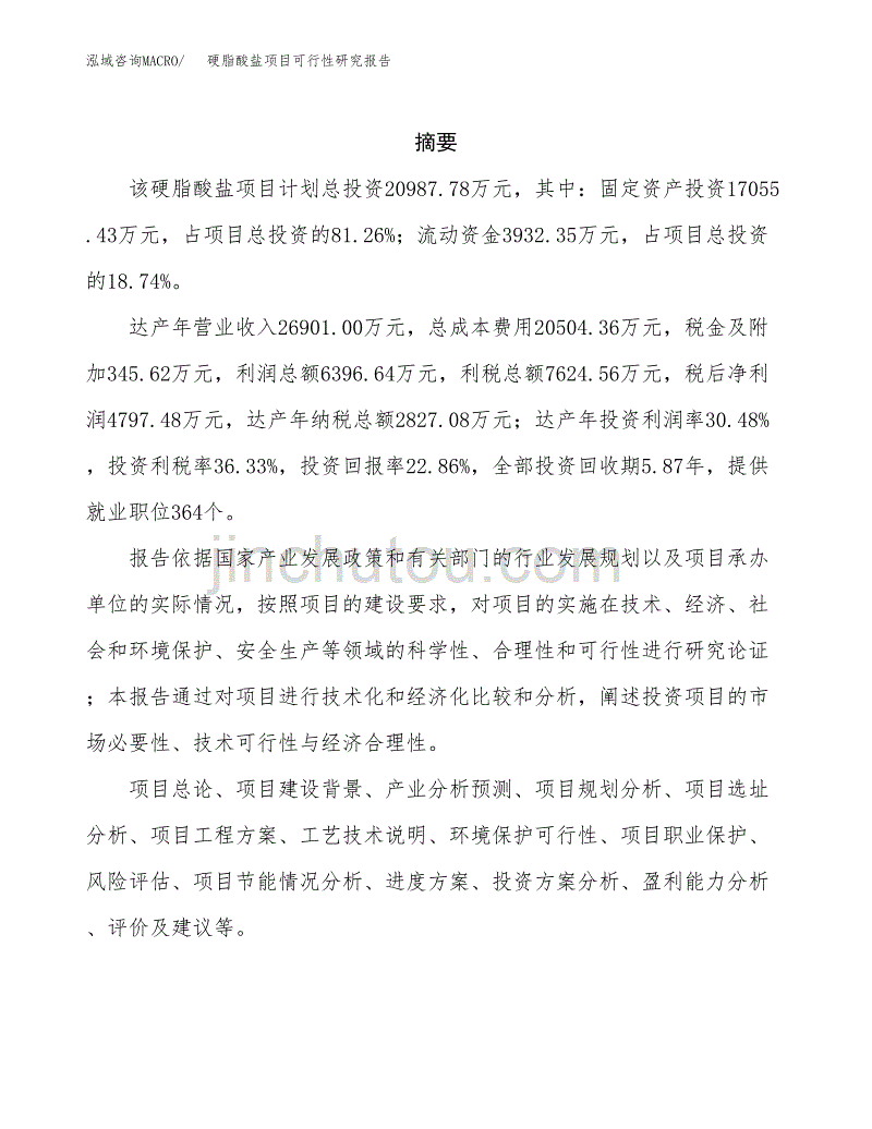 硬脂酸盐项目可行性研究报告模板及范文.docx_第2页