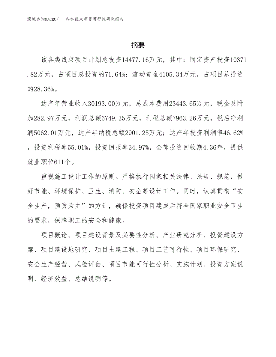 各类线束项目可行性研究报告模板及范文.docx_第2页