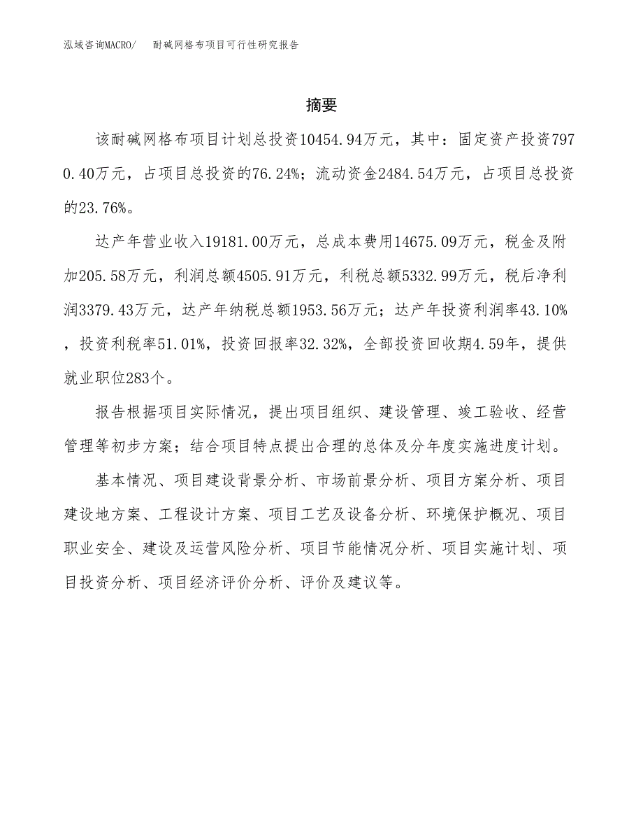 耐碱网格布项目可行性研究报告模板及范文.docx_第2页