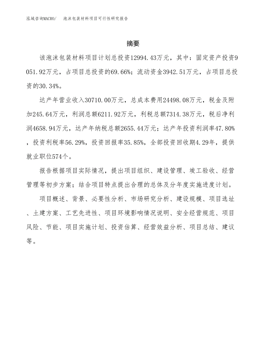 泡沫包装材料项目可行性研究报告模板及范文.docx_第2页