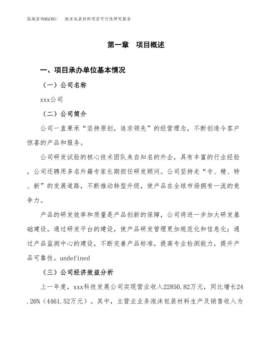 泡沫包装材料项目可行性研究报告模板及范文.docx_第4页