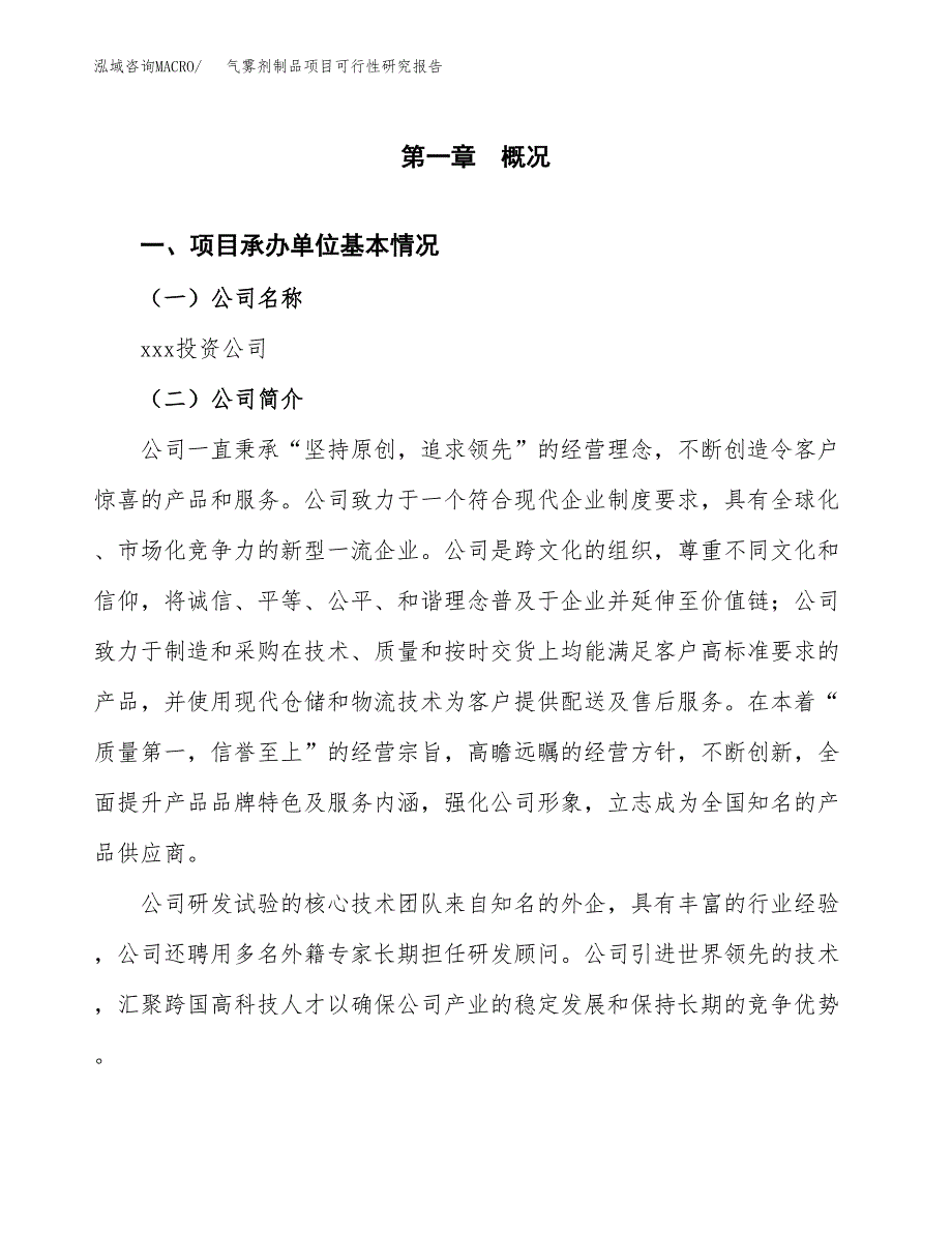 气雾剂制品项目可行性研究报告模板及范文.docx_第4页