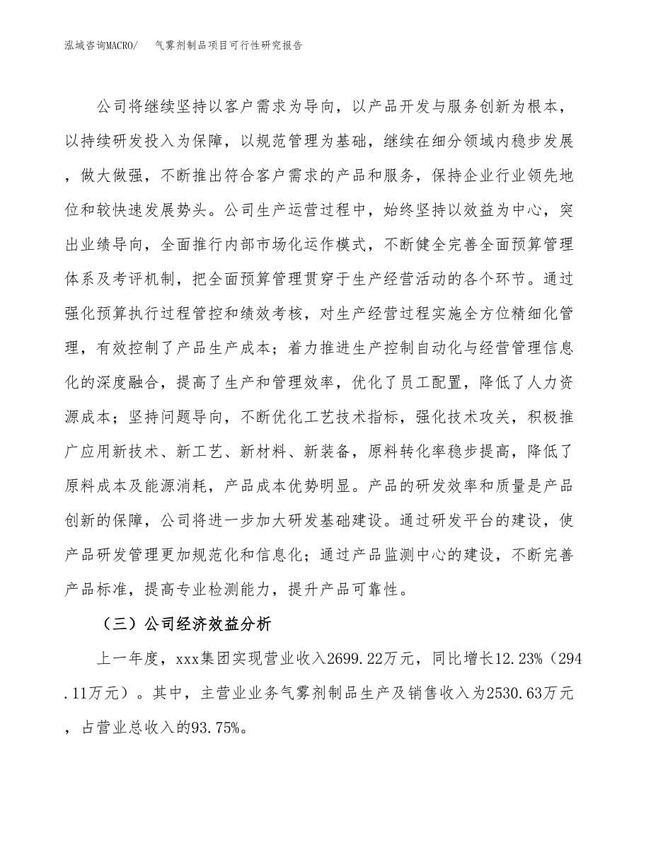 气雾剂制品项目可行性研究报告模板及范文.docx_第5页