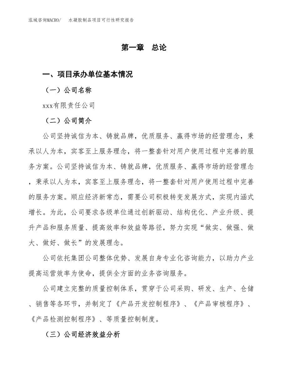 水凝胶制品项目可行性研究报告模板及范文.docx_第5页