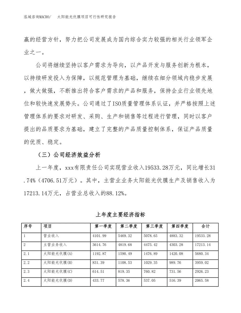 太阳能光伏膜项目可行性研究报告模板及范文.docx_第5页