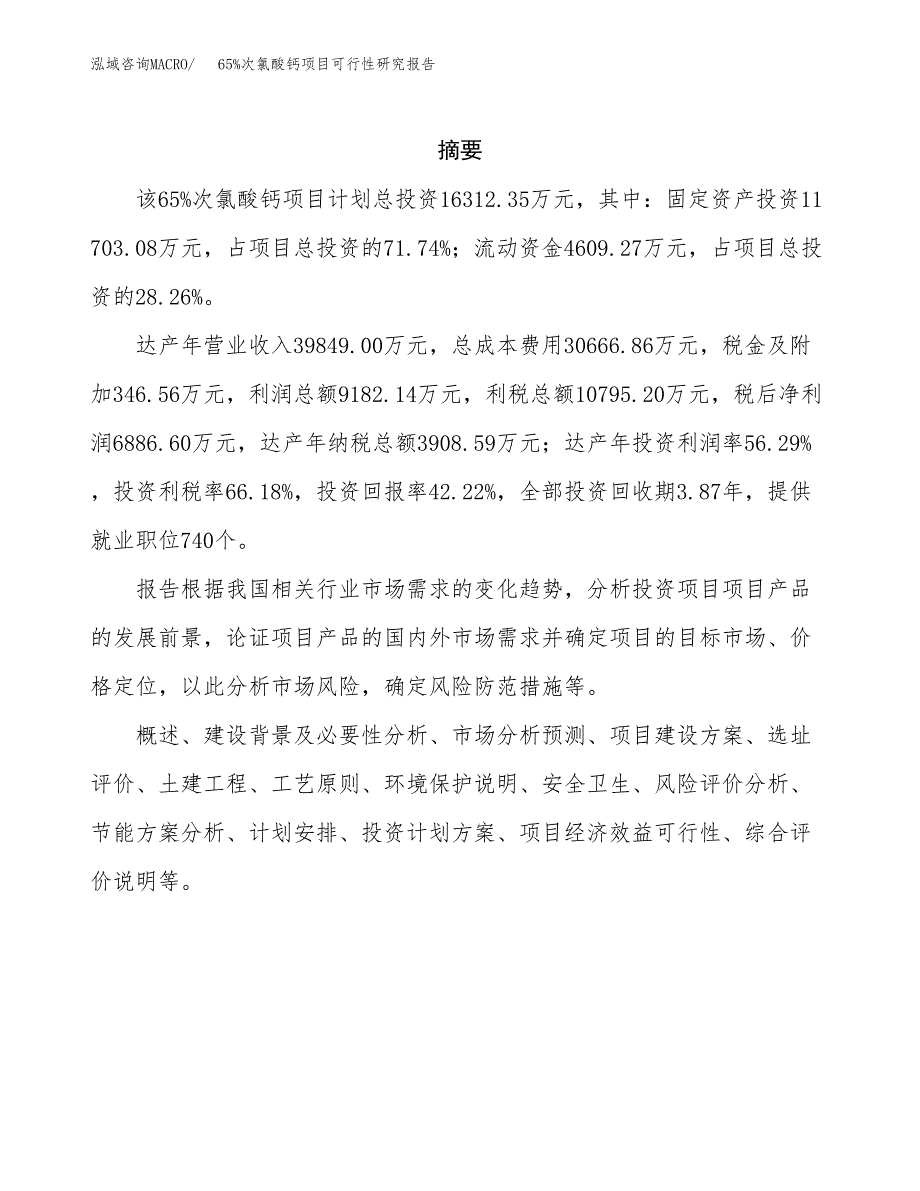 65%次氯酸钙项目可行性研究报告模板及范文.docx_第2页