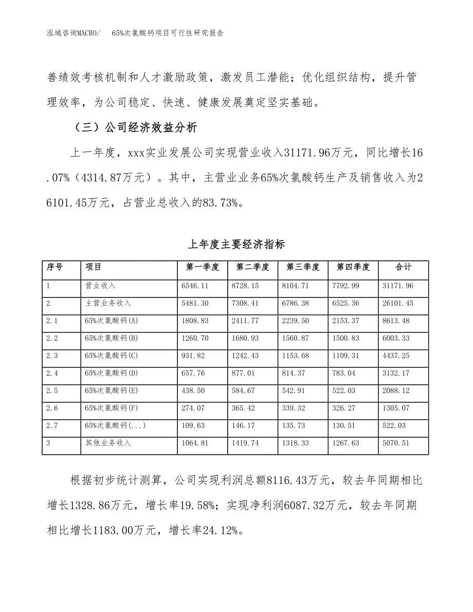 65%次氯酸钙项目可行性研究报告模板及范文.docx_第5页