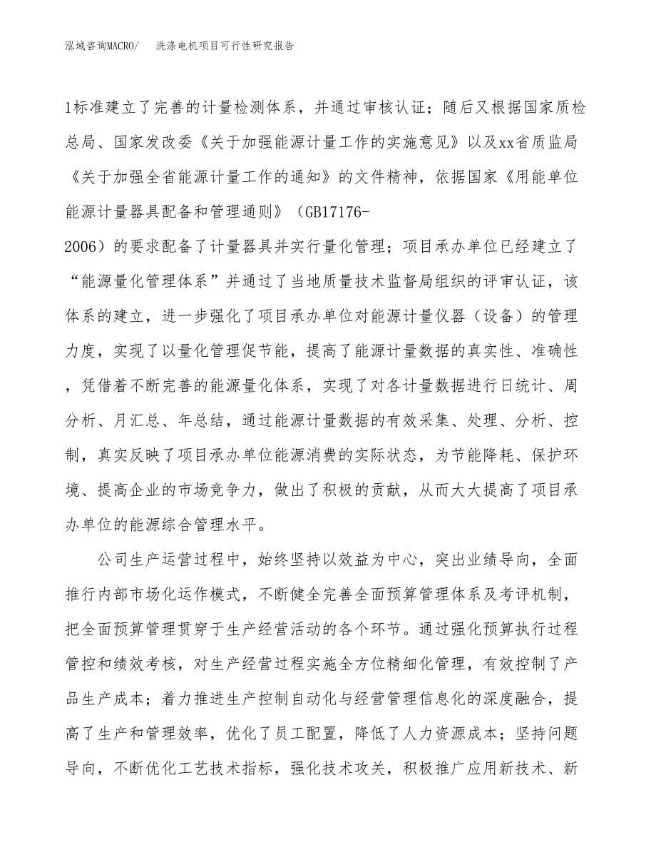 洗涤电机项目可行性研究报告模板及范文.docx_第5页