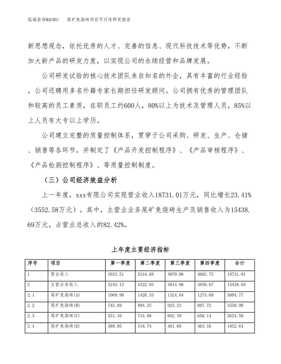 尾矿免烧砖项目可行性研究报告模板及范文.docx_第5页