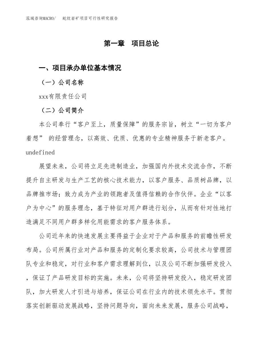 蛇纹岩矿项目可行性研究报告模板及范文.docx_第5页