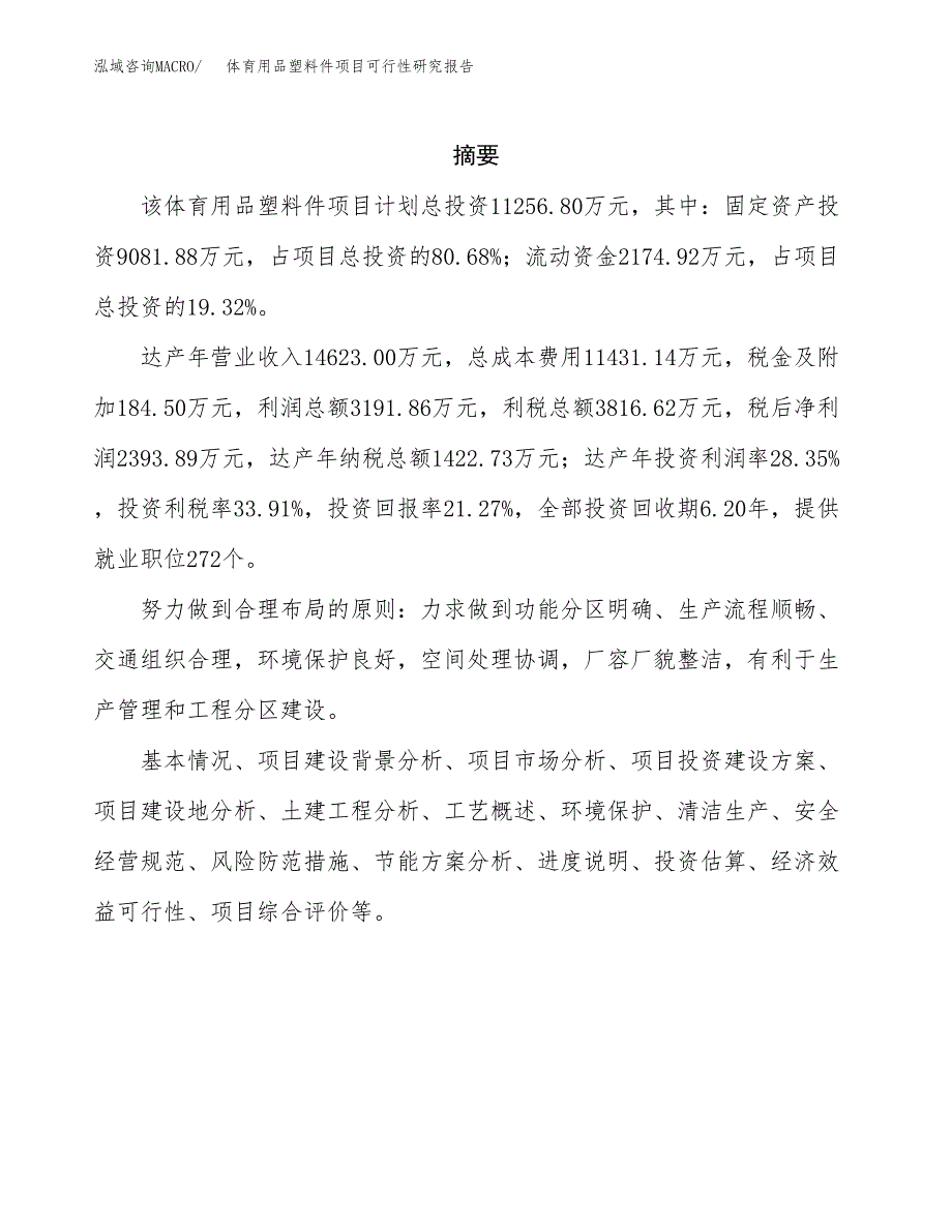 体育用品塑料件项目可行性研究报告模板及范文.docx_第2页