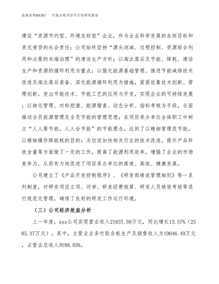 竹胶合板项目可行性研究报告模板及范文.docx_第5页