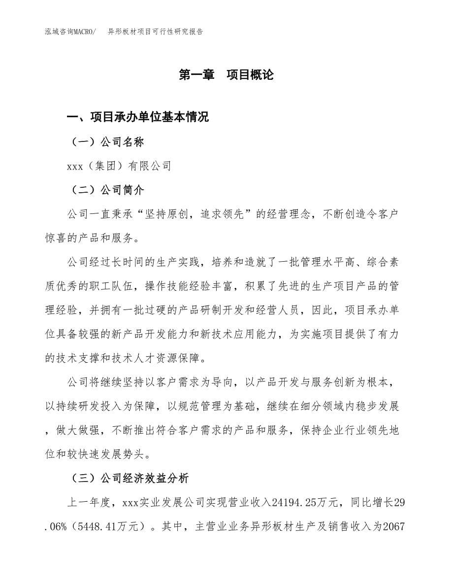 异形板材项目可行性研究报告模板及范文.docx_第5页