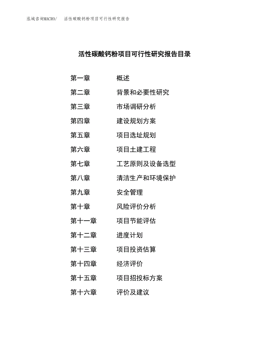 活性碳酸钙粉项目可行性研究报告模板及范文.docx_第3页