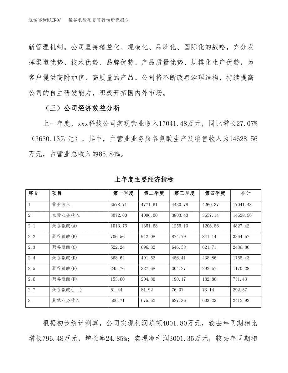 聚谷氨酸项目可行性研究报告模板及范文.docx_第5页