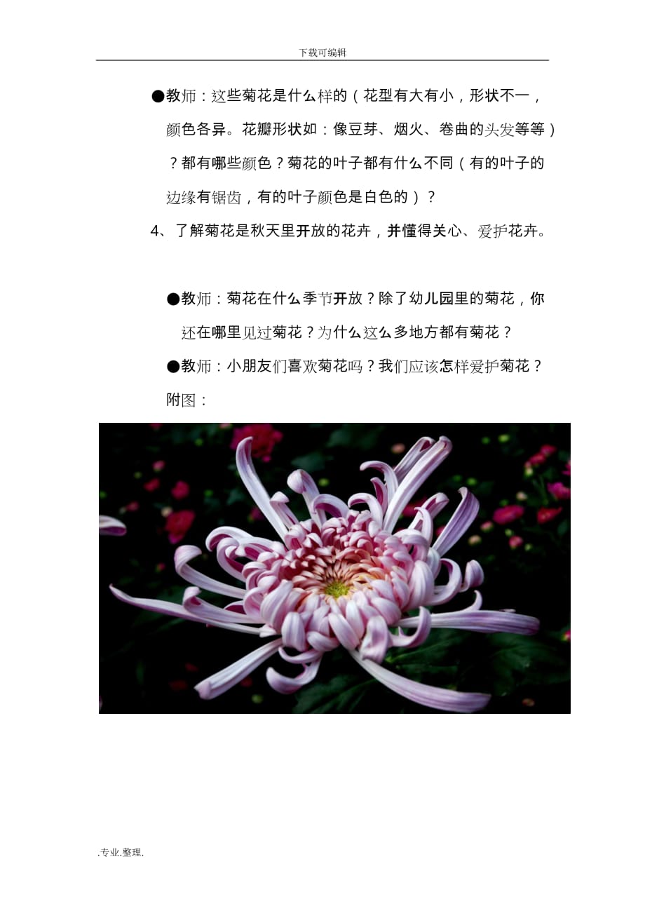 中班科学课《美丽的菊花》教（学）案_第2页