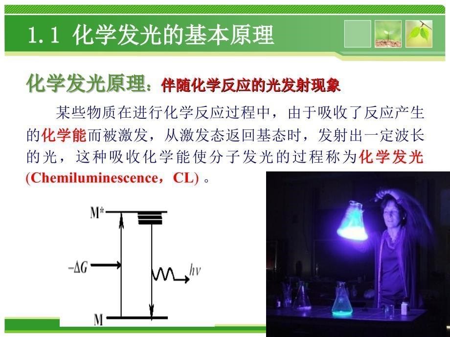 化学发光免疫分析技术应用_第5页