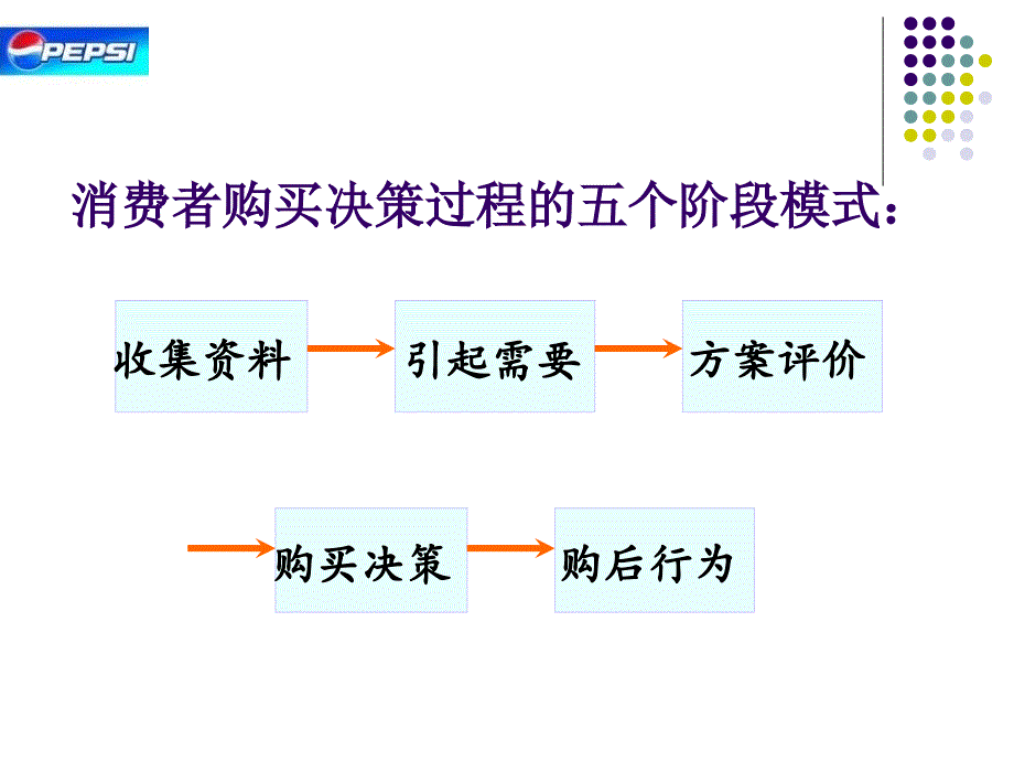 消费者市场购买行为案例分析报告_第2页