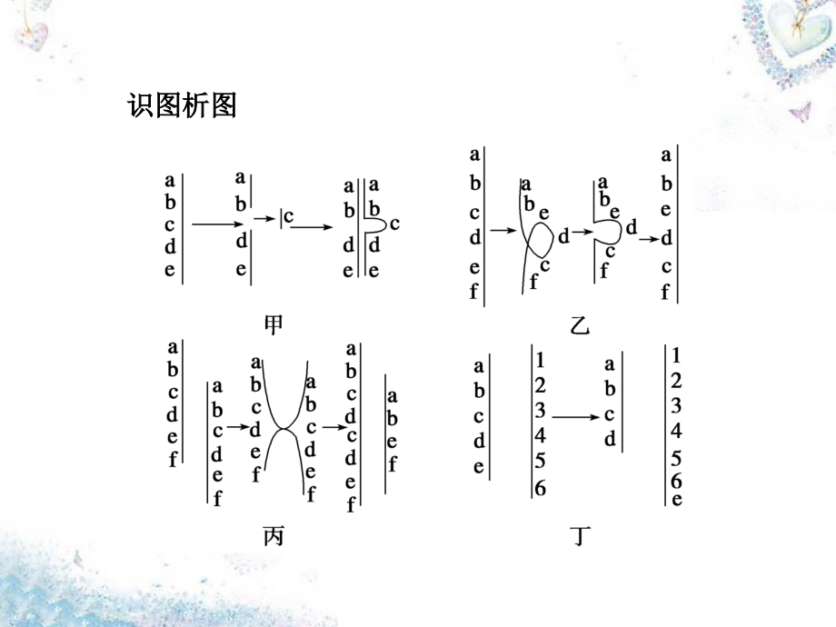 高考生物一轮专题复习染色体变异_第4页