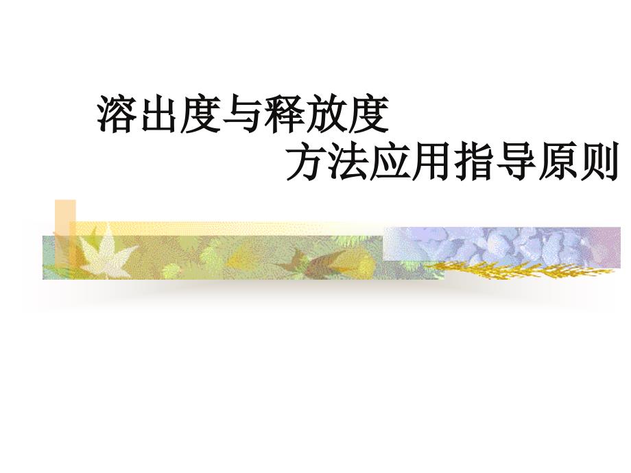 溶出度和释放度方法应用指导原则_第1页