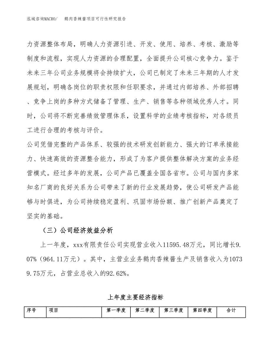 鹅肉香辣酱项目可行性研究报告模板及范文.docx_第5页