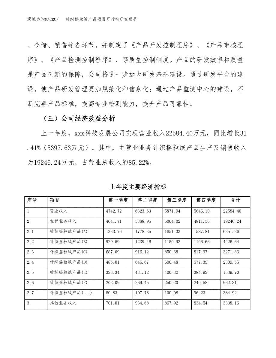 针织摇粒绒产品项目可行性研究报告模板及范文.docx_第5页