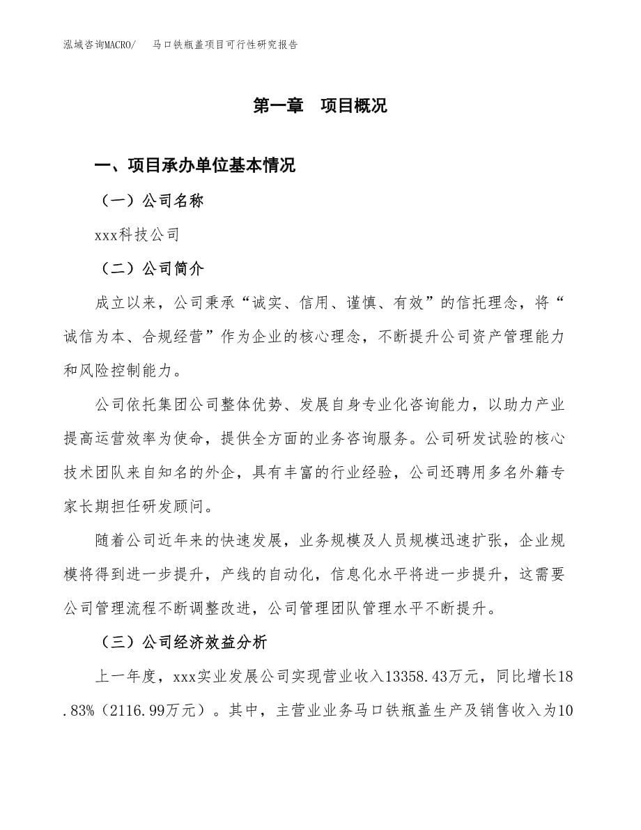 马口铁瓶盖项目可行性研究报告模板及范文.docx_第5页