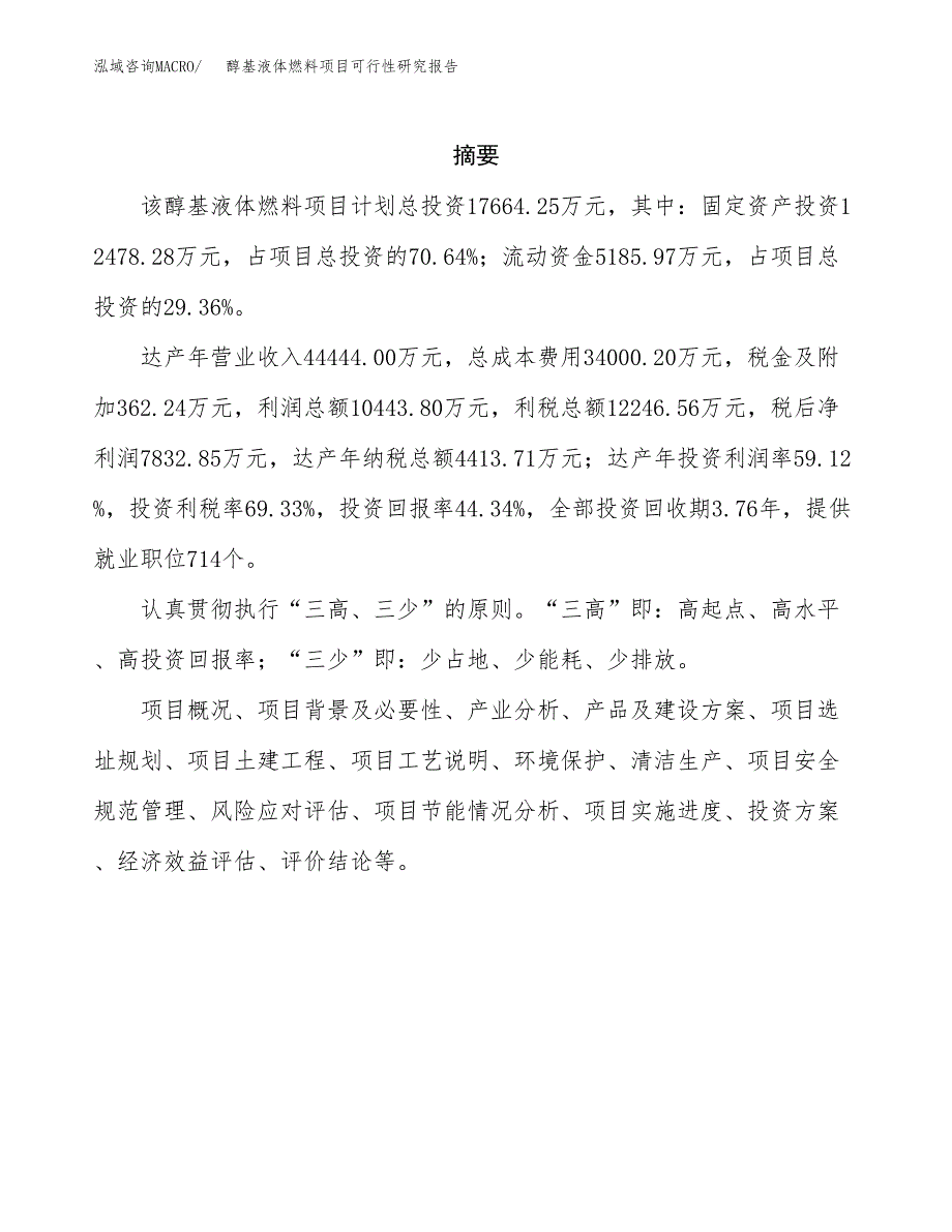 醇基液体燃料项目可行性研究报告模板及范文.docx_第2页