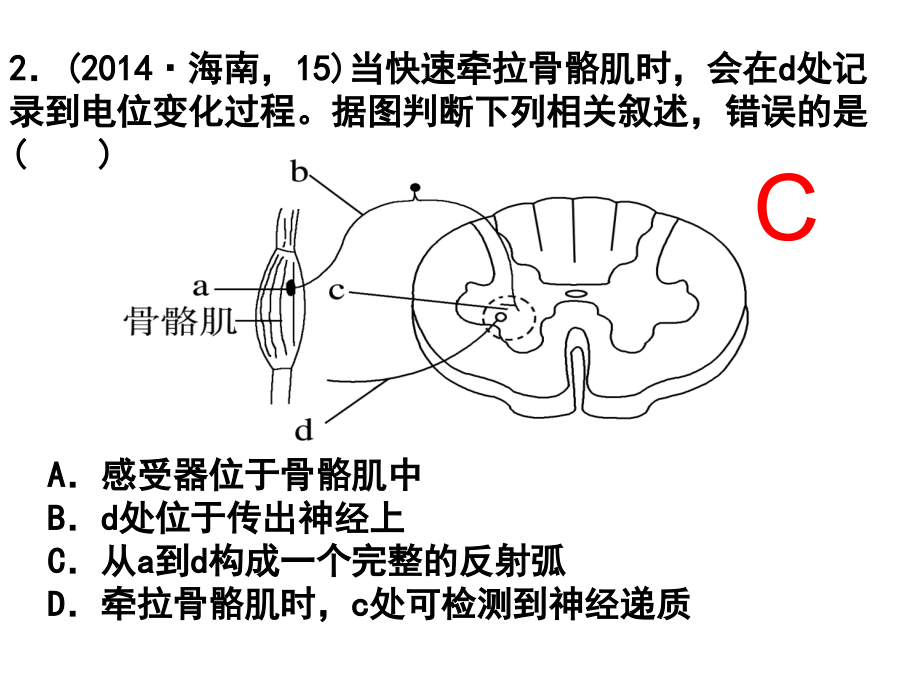 神经调节和体液调节高三二轮专题复习_第4页