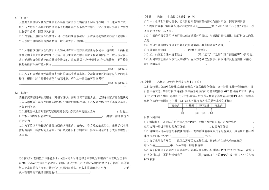 2018 全国Ⅱ卷（课标卷） B4.pdf_第2页