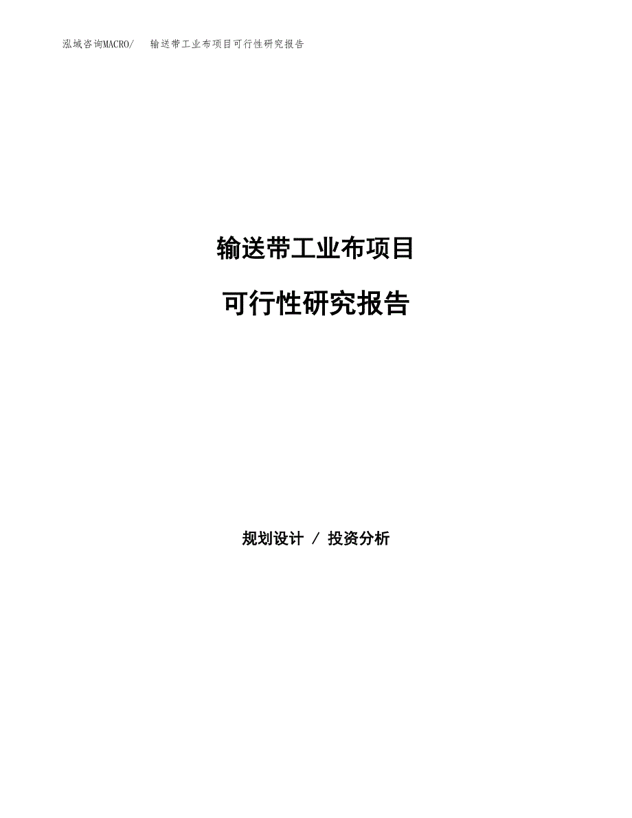 输送带工业布项目可行性研究报告模板及范文.docx_第1页