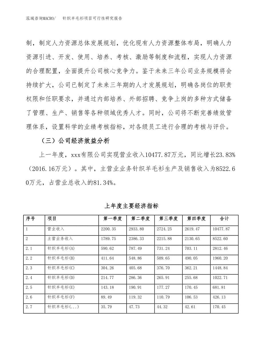 针织羊毛衫项目可行性研究报告模板及范文.docx_第5页