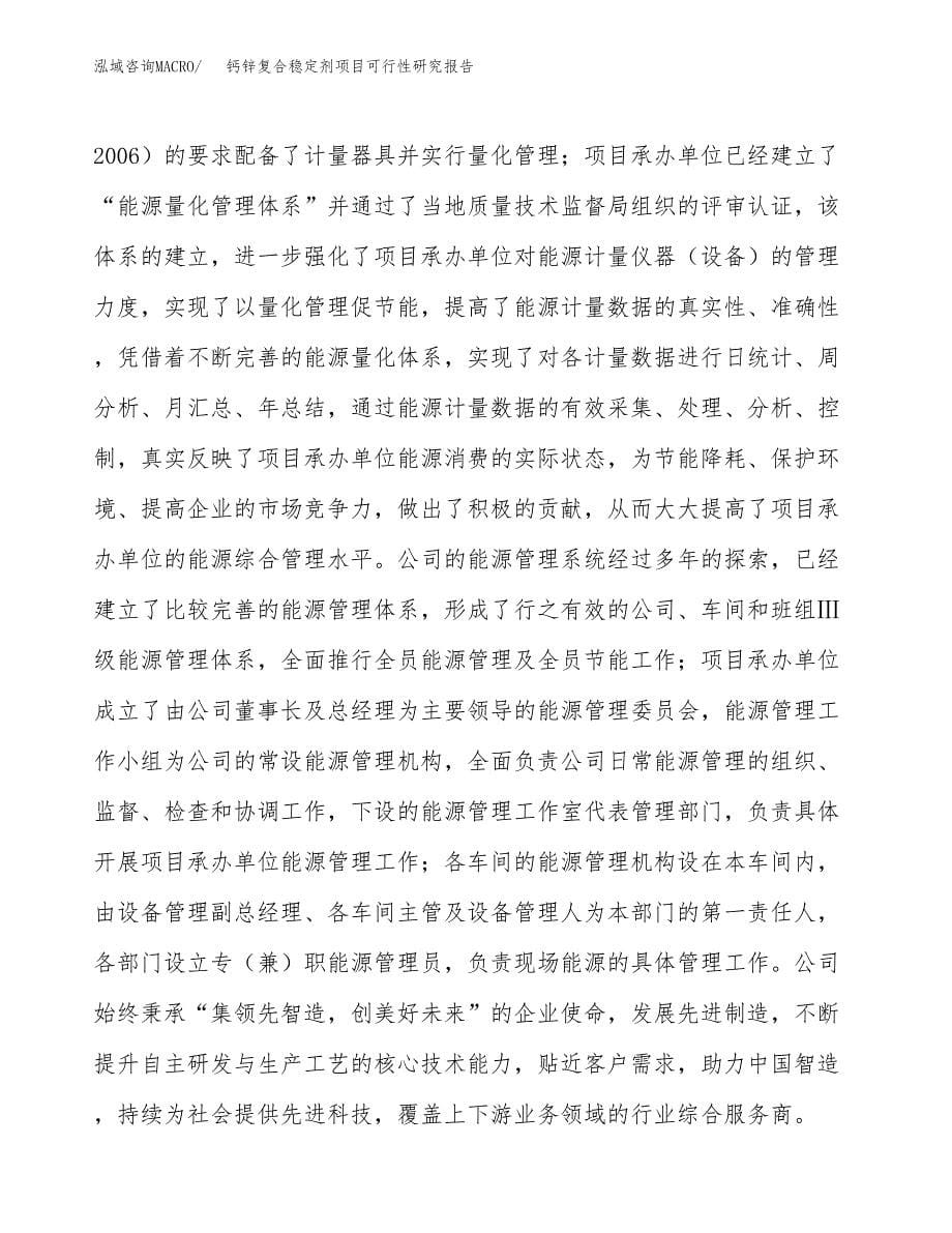 钙锌复合稳定剂项目可行性研究报告模板及范文.docx_第5页