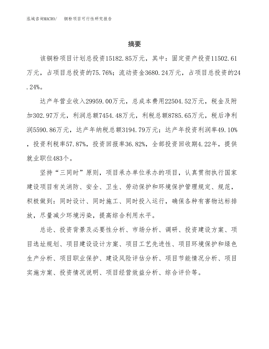 铜粉项目可行性研究报告模板及范文.docx_第2页