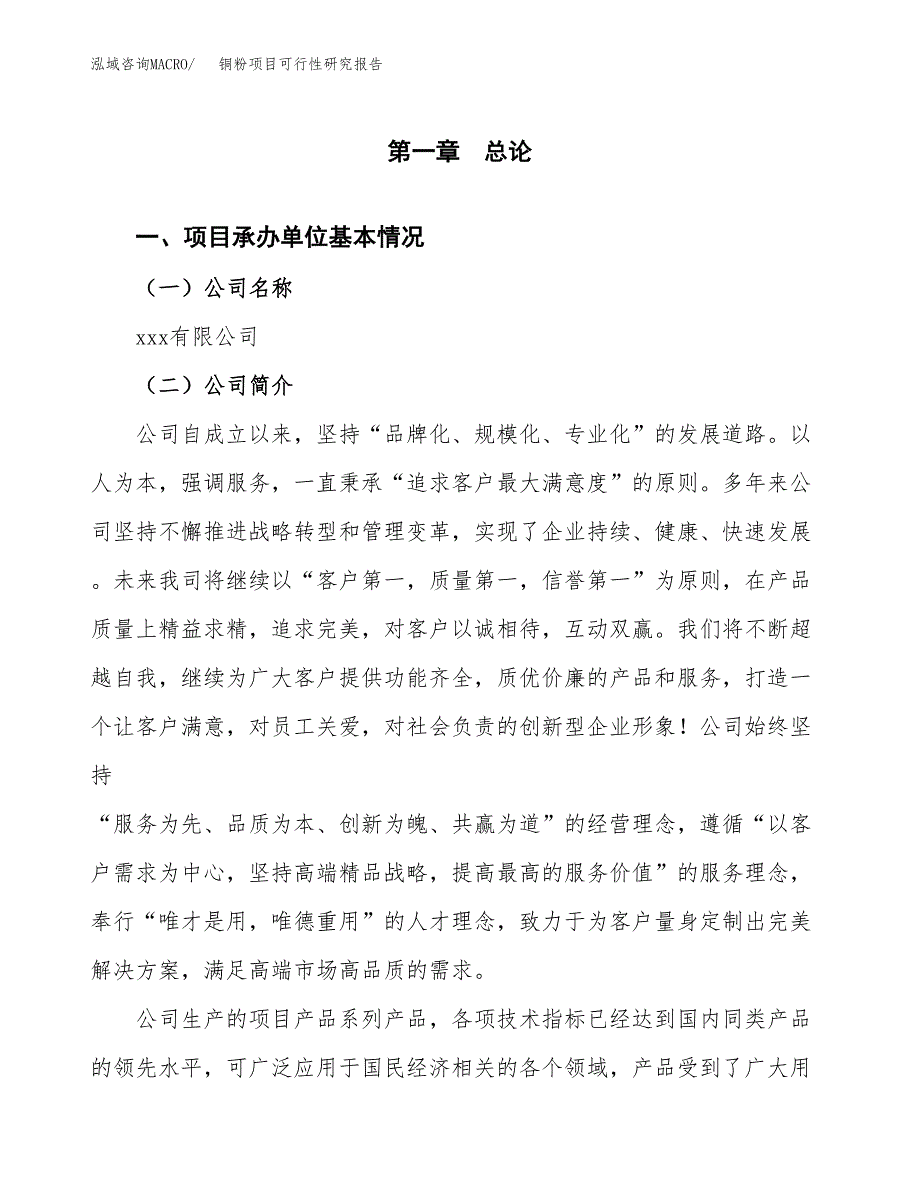 铜粉项目可行性研究报告模板及范文.docx_第4页