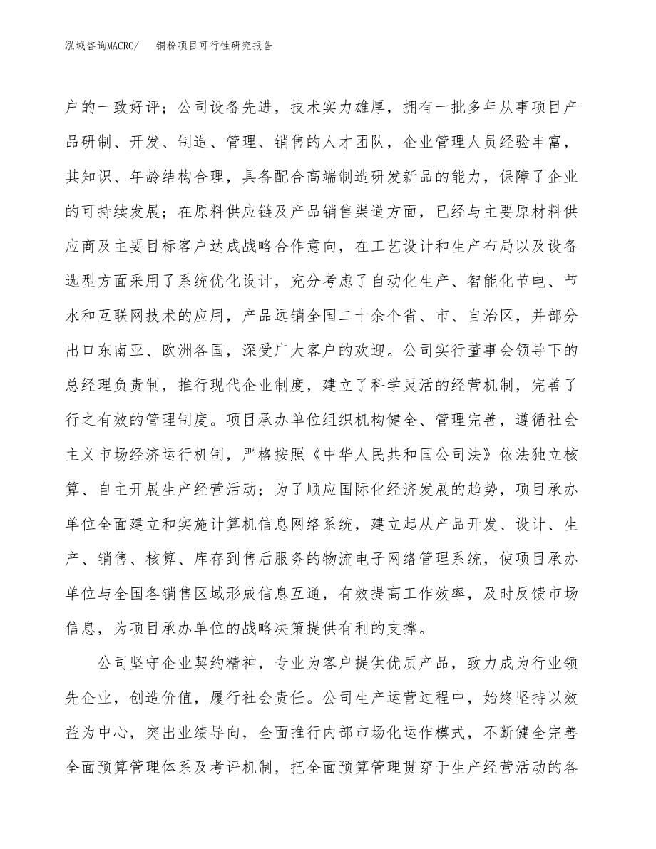 铜粉项目可行性研究报告模板及范文.docx_第5页