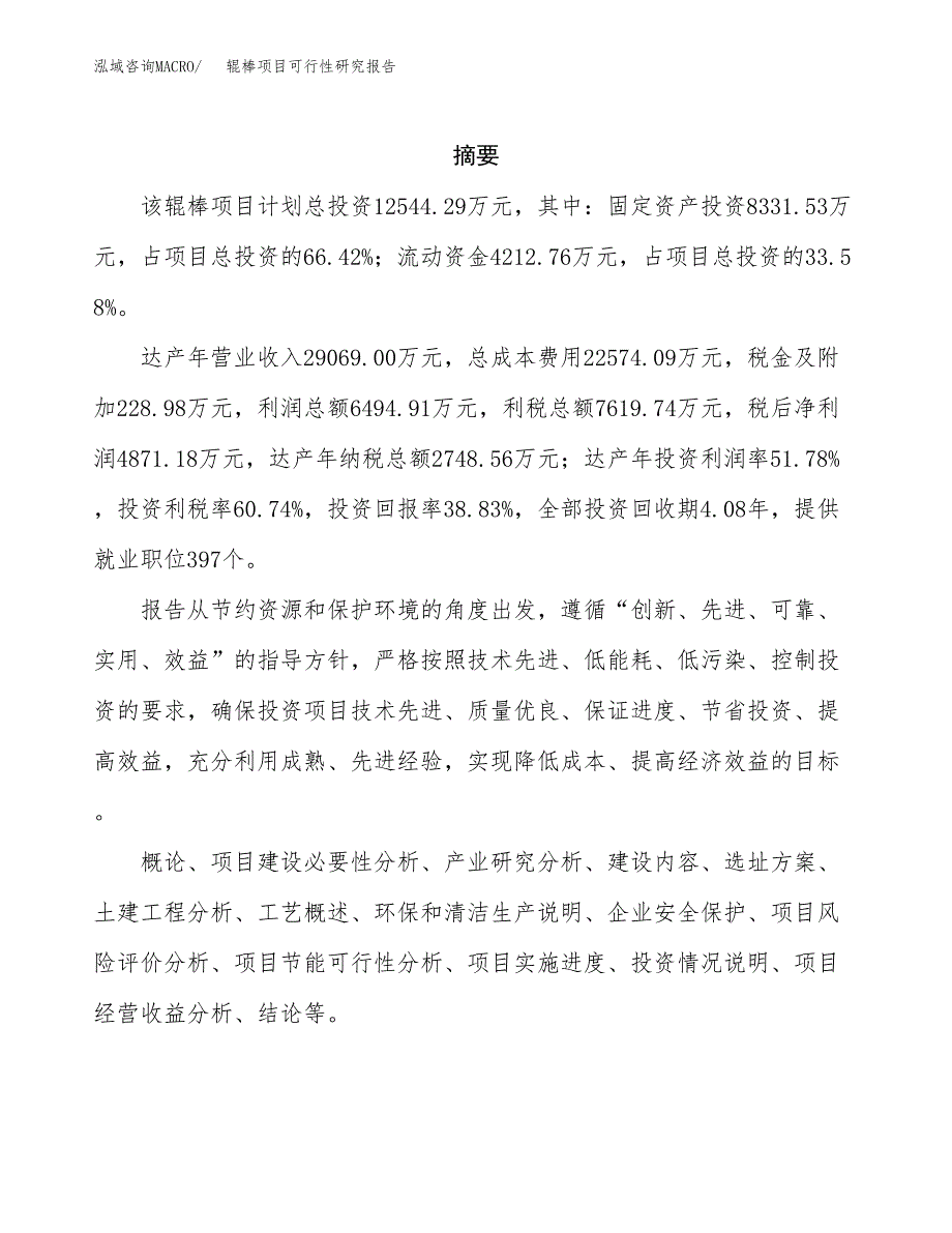 辊棒项目可行性研究报告模板及范文.docx_第2页