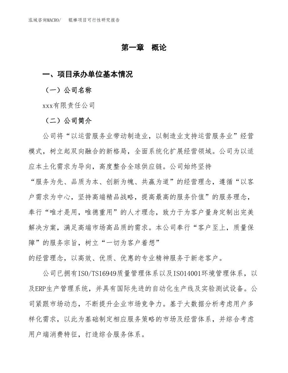 辊棒项目可行性研究报告模板及范文.docx_第4页