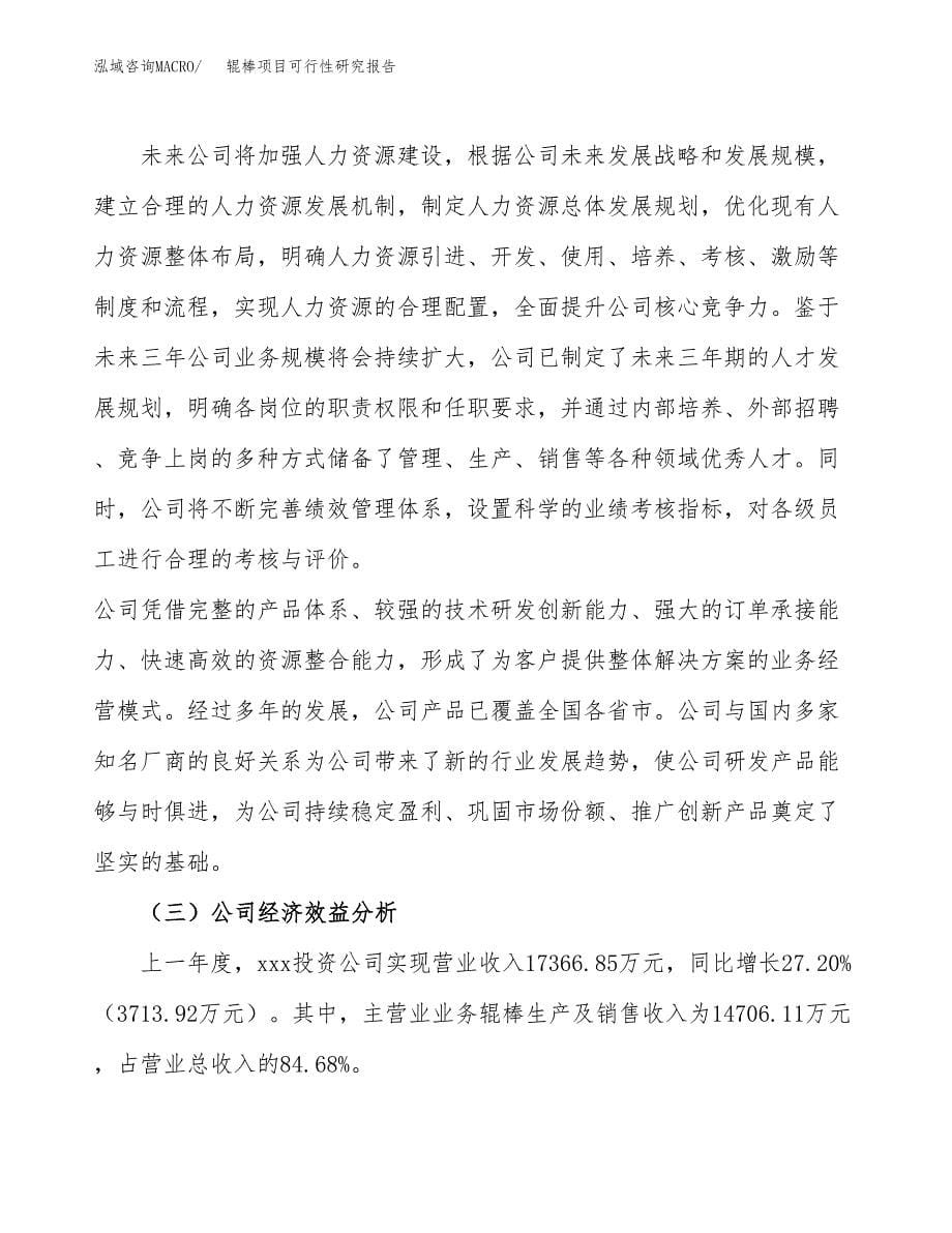 辊棒项目可行性研究报告模板及范文.docx_第5页