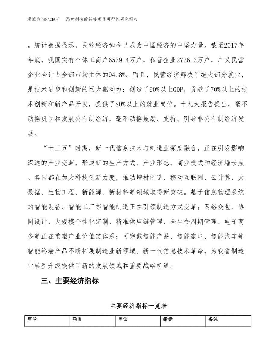 添加剂硫酸铝铵项目可行性研究报告(立项及备案申请).docx_第5页