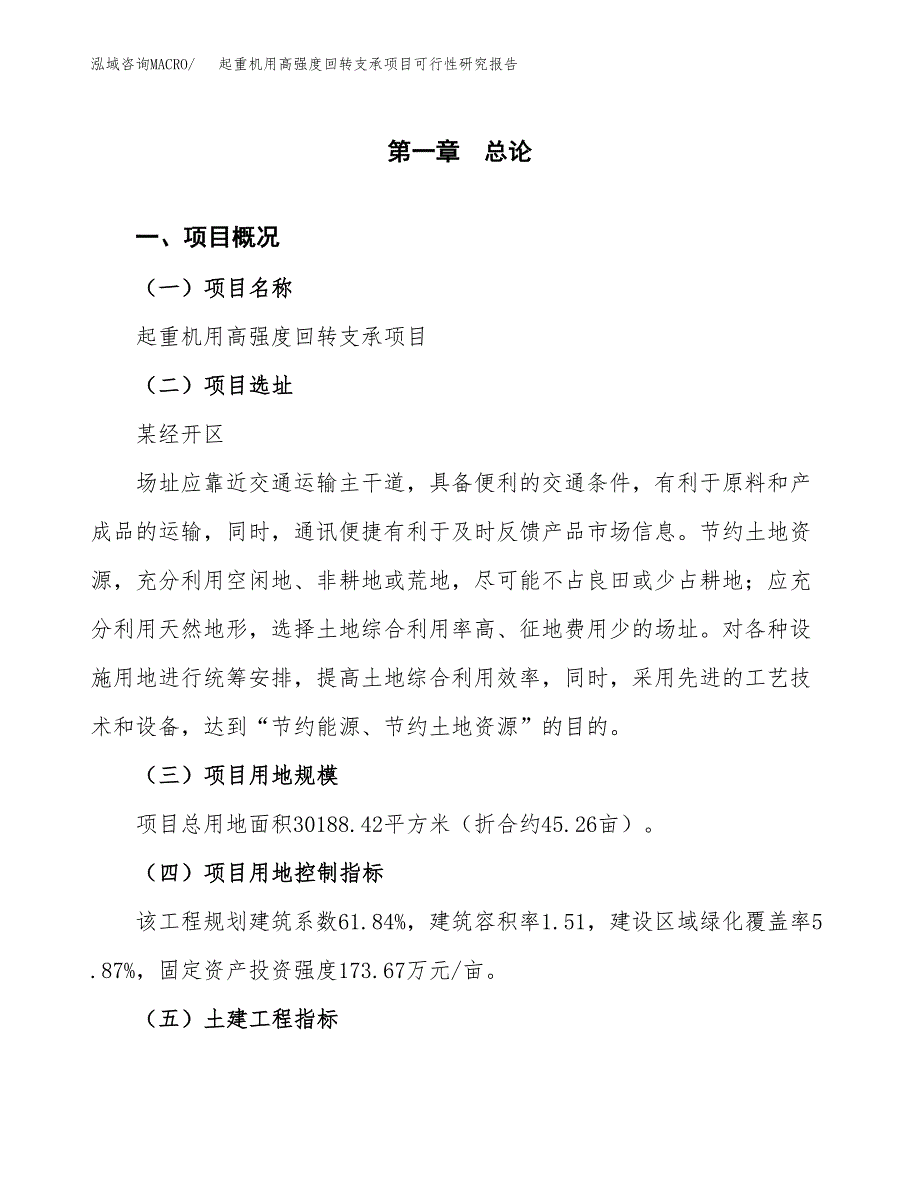 起重机用高强度回转支承项目可行性研究报告(立项及备案申请).docx_第1页