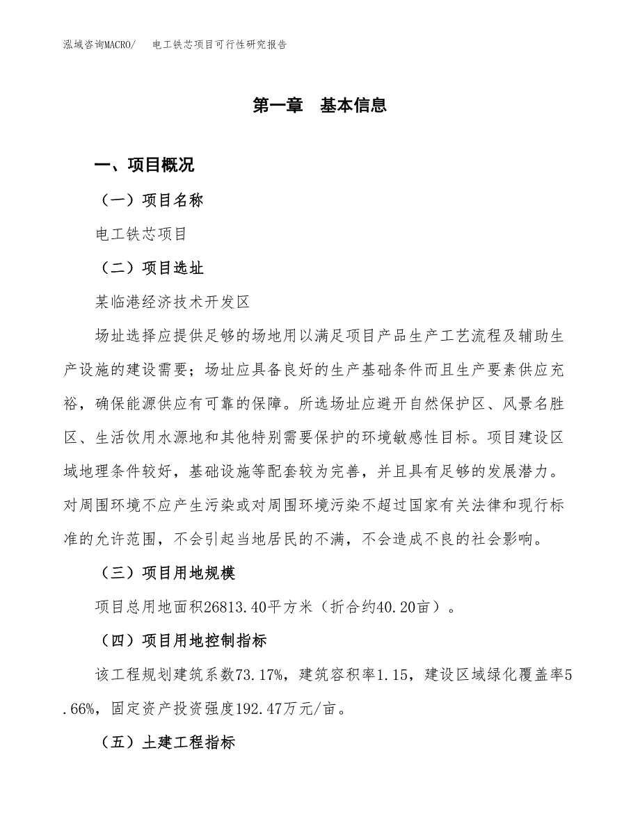 电工铁芯项目可行性研究报告(立项及备案申请).docx_第1页