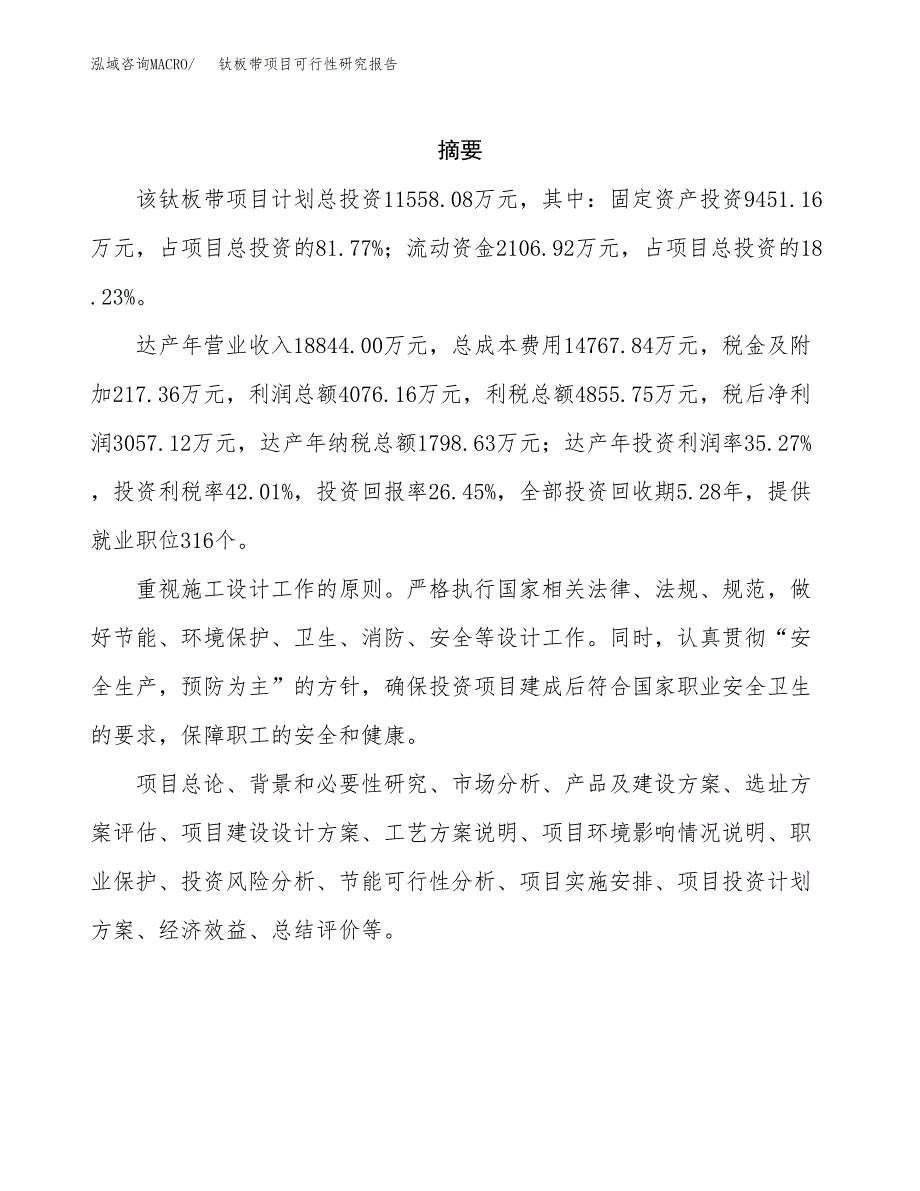 钛板带项目可行性研究报告模板及范文.docx_第2页